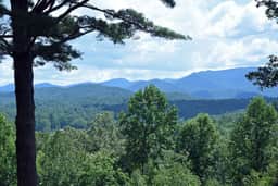 Big Pine - Mountain view, pet friendly, hot tub