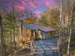 Swanky Fox - hot tub-modern-fireplaces-pets-games