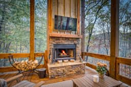 Swanky Fox - hot tub-modern-fireplaces-pets-games