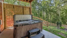 Take a Paws - close to downtown, fenced yard, pets