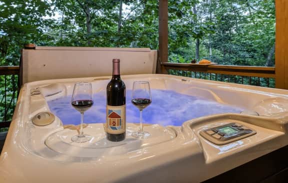 Famtastico - Great Deal! Games, Hot Tub, Pets