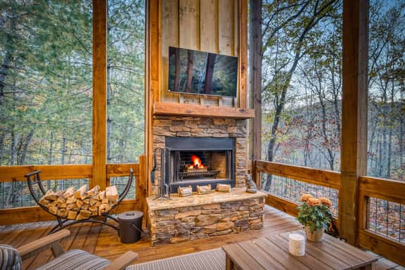 Swanky Fox - hot tub-modern-fireplaces-pets-games