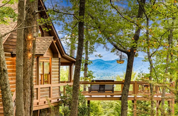 Blue Ridge Tradition -View, location, dog friendly